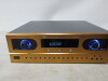 Sictar Audio Digital Echo Karaoke Amplifier, Model CK-9300. - 2