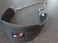 AQF Pro Fitness Gear Lifting Dip Chain.