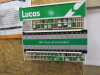 4 x Racks & 1 x Box with Approx 500 Assorted Car Bulbs (mainly Lucas, some Neolux). - 2