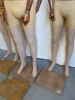 4 x Proportion London Articulated Vintage Collection Mannequins with Dark Wood Arms. Comes with 1 x Stand. - 7