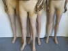 4 x Proportion London Articulated Vintage Collection Mannequins with Light Wood Arms. NOTE: missing stands. - 4