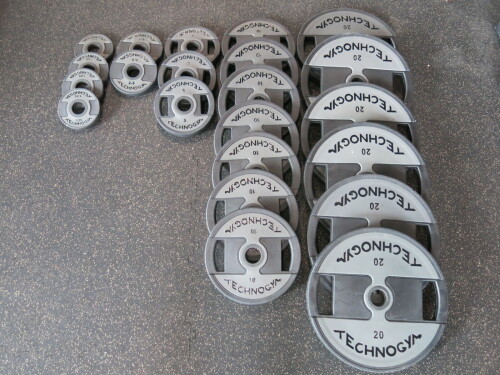 Technogym Disc Weights