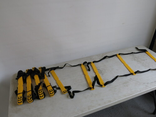 5 x Five Tread Smart Training Ladders.