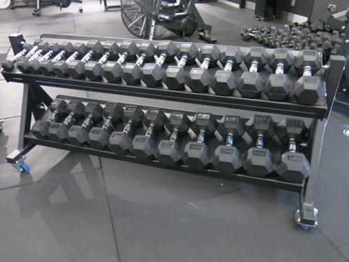 Set of 27 BLK BOX Dumbbells to Include: 2 x 20/17.5/12.5/10/9/8/7/6/5/4/3/2/1kg & 1 x 15kg on Mobile Rack.