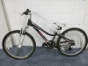 Trex MT 220 Girls Bike