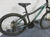 Specialized S/15 Women's 21 Gear Mountain Bike - 3