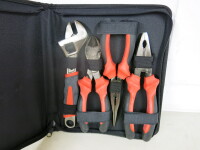Set of 4 Forge Steel Tools in Zip Case.