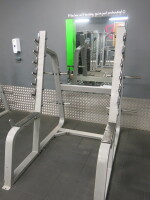 Precor Squat Rack Boxed Experience Titanium.