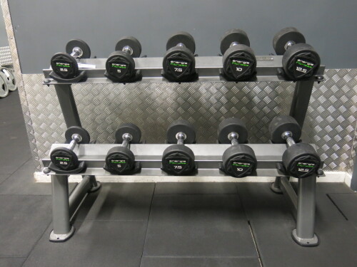 Set of 10 x Energie Fitness Dumbbells to Include Pairs of: 2.5/5/7.5/10/12.5kg on Rack.