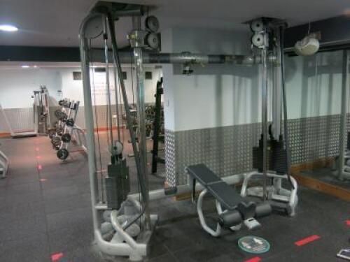 Technogym 2SC Radiant Dual Pulley System with 52.5kg Weight Stacks & Pull Down Incline Bench.