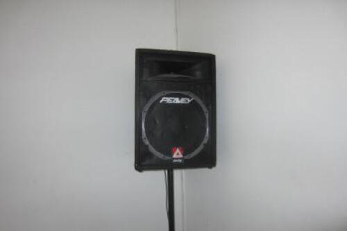 A Peavey Euro Speaker on Adjustable Stand, Model Eurosys 500RX