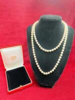 Single Row Necklace of Continuous Pearls in Presentation Case.