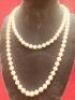 Single Row Necklace of Continuous Pearls in Presentation Case. - 4