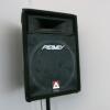 A Peavey Euro Speaker on Adjustable Stand, Model Eurosys 500RX - 3