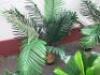 5 x Faux Office Plants. - 3