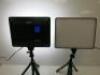 2 x Viltrox Panel LED Dimmable Light, Model VL-200T. Comes with 2 x Remotes, 2 x Power Supplies & 2 x Joby Tripods. - 6