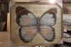 1 x Box of 5 - 40 x 50" Butterfly Image, Oil on Wooden Panel Artworks (IA1511-1)