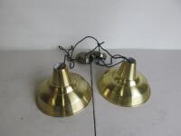 2 x Colours Pendant Ceiling Lights in Gold.