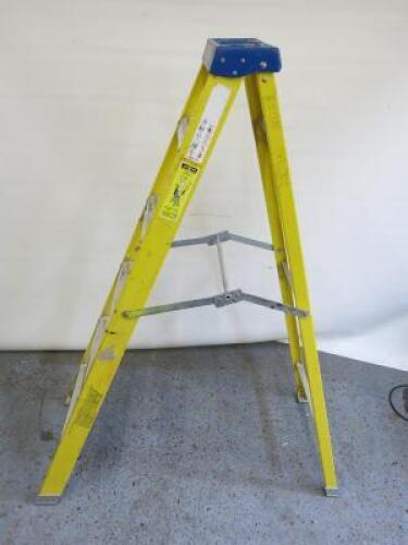 6 Tread Stepladder.