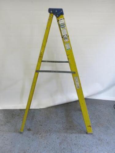 6 Tread Stepladder.