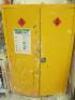 Hazardous Substance 2 Door Cupboard with Key.