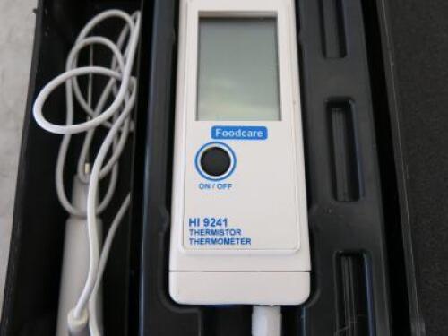 Hanna Food Care HI-9241 Thermometer