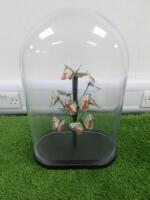 Large Curved Glass Dome with Paper Butterflies, Size H52 x W30cm.