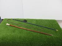 3 x Assorted Walking Sticks/Canes.