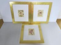 3 x Framed, Glazed & Mounted Prints Depicting Flowers, Size 38 x 32cm.