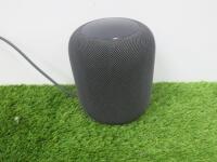 Apple Homepod Smart Speaker, Model A1639 in Space Gray with Box.