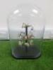 Large Curved Glass Dome with Paper Butterflies, Size H52 x W30cm.