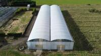 45m Twin Span Poly Tunnel with Galvanized Frame. Overall Size 45m x 16m x 4m. NOTE: buyer is responsible for the dismantle & collection from site.