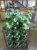 Large Quantity of Estimated 250 x 'Ken Muir' The New Towerpot in Green, Registered Design Strawberry Growing Pots. Stackable Design with Base Stands & Inserts. Note: Sets may be incomplete. - 5