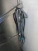 Winterhalter Pass Through Dishwasher, Type PT-M, S/N 3047146, 3 Phase, size H152 x W74 x D82 - 4