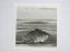 Set of Four Andrea Jarvis Hamilton Artworks, Framed, Glazed & Mounted Depicting 'Different Compositions of Iceberg's' Signed by Artist Limited Editions 1/6. Overall Size 40 x 40cm. - 6