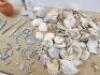 Assortment of Seaside Trinkets, Seashells & Costume Jewellery (As Pictured/Viewed). - 5