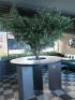 Round High Top Bar/Counter in Dark Grey, Wood Made/Slot Together. Size H110 x Dia 180cm. - 3