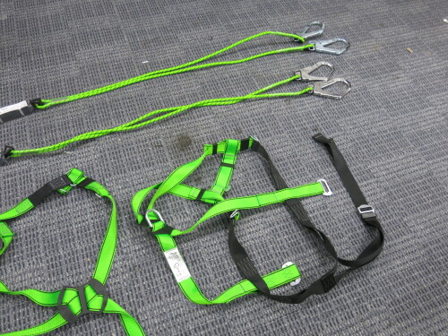 2 x Force Harnesses P-10 & 2 x Force Protek Energy Absorber with Double Lanyard.