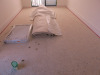 UPDATE - LOT NOW COMBINED WITH LOT 23 AS COMPLETE DWELLING - Please refer to Lot 23 for bidding. - 14