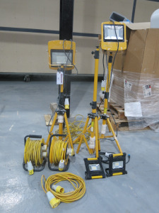 4 x 110v Site Lights, 2 x 110v Extension Rolls & 2 x 110v Extension Leads.