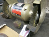 SIP 8" Bench Grinder, S/N P005601 - 2019/46, with Additional Wheel. - 4