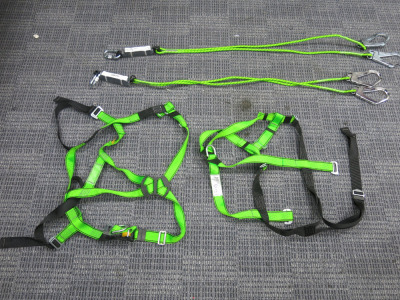 2 x Force Harnesses P-10 & 2 x Force Protek Energy Absorber with Double Lanyard.