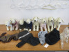 8 x Assorted Small Dog Jumpers, Fleece & Raincoats, 2 x Barbour Harnesses & 8 x Leather Dog Display's with 7 x Pearl Hangars.