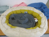 Dog Bedding & Blankets to Include: Dog Bed, 2 x Bean Bags, 2 x Snuggle Beds, 3 x Blankets & Plush Toy. - 3