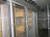 40ft Container Converted to Store Room, Fully Racked Internally with Caged Storage, Lighting & Power in Green & Cream (Attached to Shed 2). NOTE: buyer required to disconnect and make good. - 7