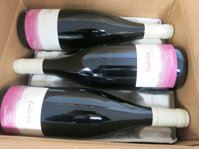 Case Containing 6 Bottles of Galichets Bourguil 2017 Red Wine