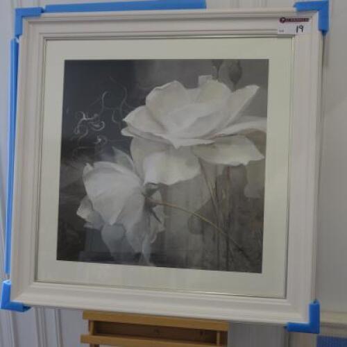 Framed Oil Glazed Canvas Print of White Roses. Size 97 x 97cm