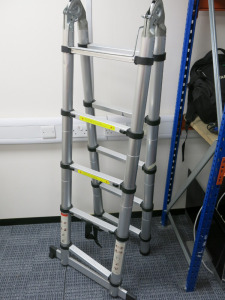 Fold Out 3 Way Telescopic Ladder.