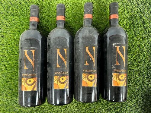 4 x 1999 Bottles of Toro Nvmanthia, Red Wine 75cl.