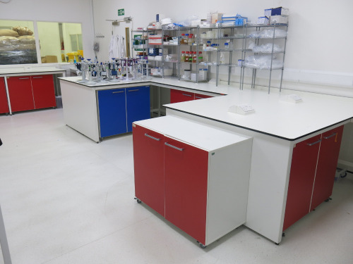 Laboratory 2 - Workbenches, Sink Unit & Cabinets to Include: 670cm Run of Fitted Work Station with 6 x Power Sockets, 310cm Workbench with Built in Sink Unit & Cupboard Under and 8 x Mobile Interfocus Mynewlab Undecounter Cabinets with 2 x 4 Draw & 6 x 2 